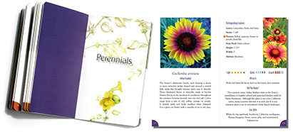 Grizzly Ranch Landscapes Book Grizzly Ranch Landscapes Book